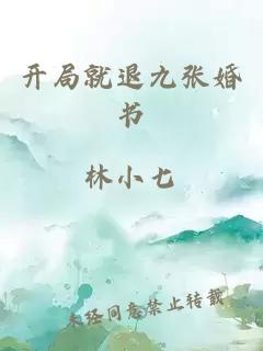 开局就退九张婚书