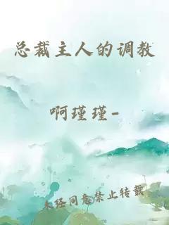 总裁主人的调教